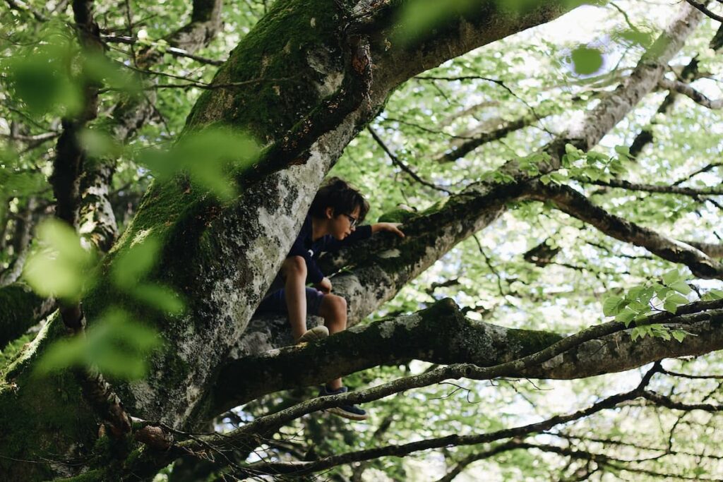 Child Climbing A Tree 1200x800