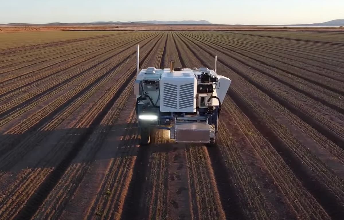 Smart Weeding With Robots