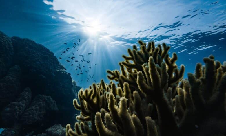 10 Natural Wonders of Australia