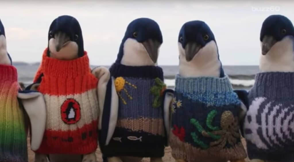 Australia’s Oldest Man, Who Knitted Jumpers for Penguins