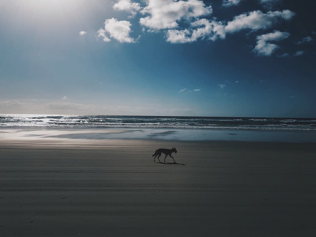 Fraser Island Australia