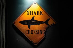 Shark Crossing Sign