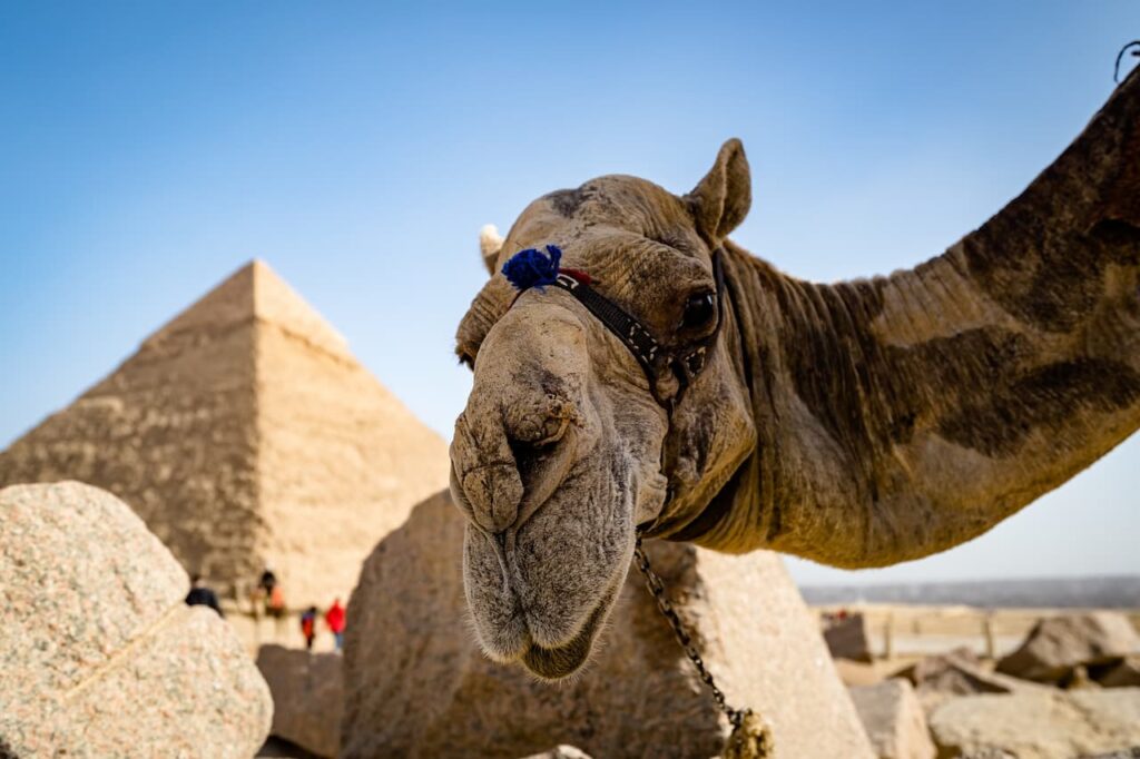 great-pyramid-of-giza-geography-scout