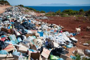 Plastic Pollution Near A Beach