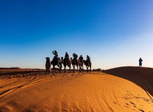 Camel Path