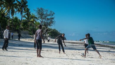 African Beaches Zanzibar Mjini Magharibi Region Tanzania