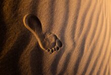 Australia's 20,000 Year Old Human Footprints