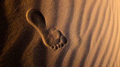 Australia's 20,000 Year Old Human Footprints